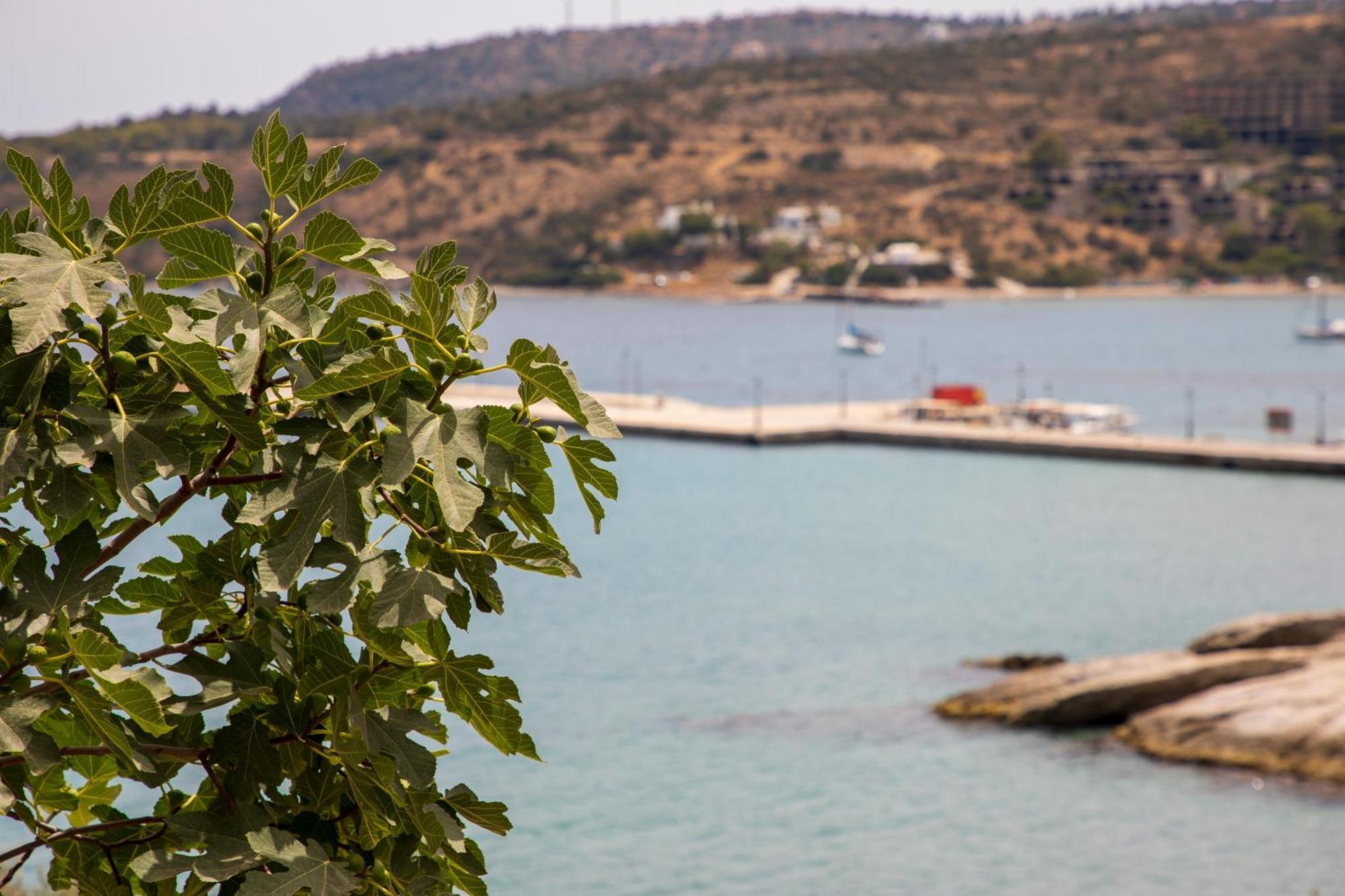 Sea La Vie Agia Marina (Aegina)